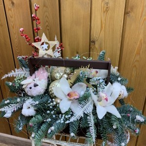 "Сhristmas star"