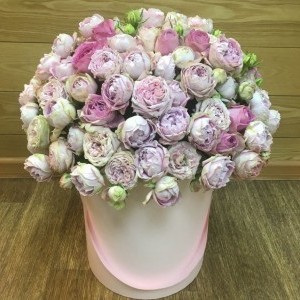 "Blossom babbles"